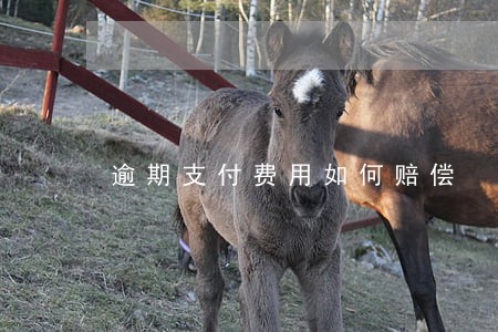 逾期支付费用如何赔偿 逾期支付费用如何赔偿