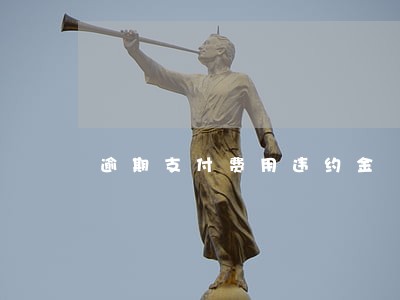 逾期支付费用违约金 逾期支付费用违约金