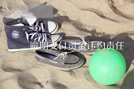 逾期支付资金违约责任 逾期支付资金违约责任