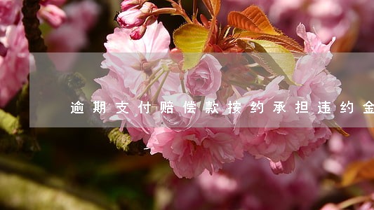 逾期支付赔偿款按约承担违约金 逾期支付赔偿款按约承担违约金
