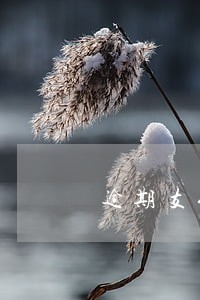 逾期支付赔偿金的违约金