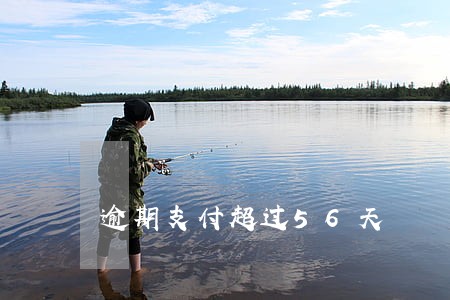 逾期支付超过56天 逾期支付超过56天