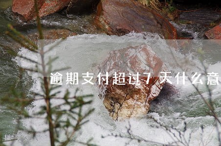 逾期支付超过7天什么意思 逾期支付超过7天什么意思