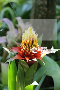 逾期支付违法问题 逾期支付违法问题