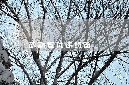 逾期支付违约函 逾期支付违约函