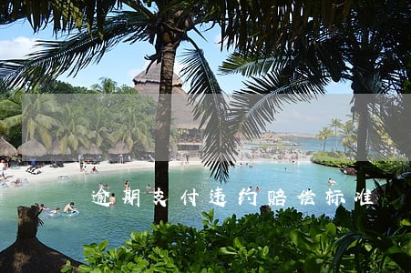 逾期支付违约赔偿标准