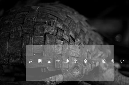 逾期支付违约金一般多少钱 逾期支付违约金一般多少钱