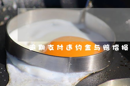 逾期支付违约金与赔偿损失 逾期支付违约金与赔偿损失