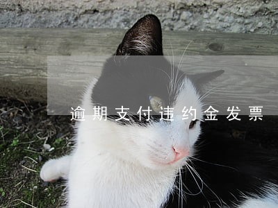 逾期支付违约金发票