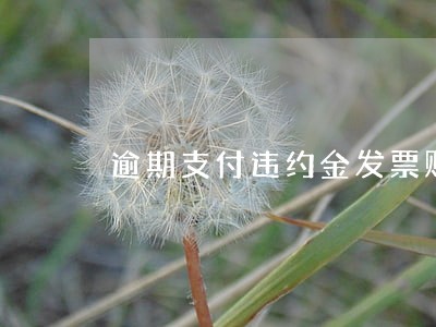 逾期支付违约金发票账务处理 逾期支付违约金发票账务处理