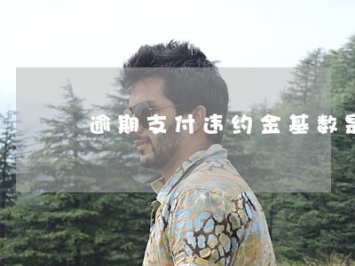 逾期支付违约金基数是 逾期支付违约金基数是