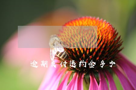 逾期支付违约金多少 逾期支付违约金多少