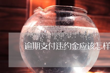 逾期支付违约金应该怎样约定 逾期支付违约金应该怎样约定