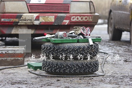 逾期支付违约金怎么办