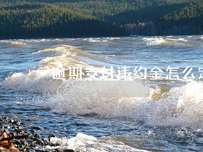 逾期支付违约金怎么定