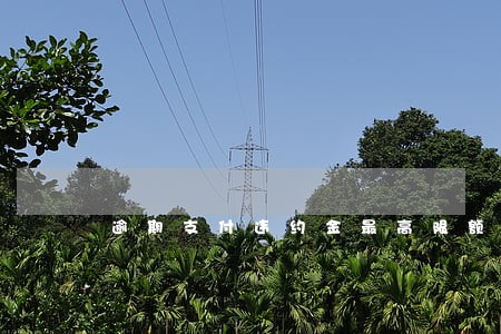 逾期支付违约金最高限额 逾期支付违约金最高限额