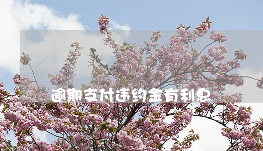 逾期支付违约金有利息 逾期支付违约金有利息