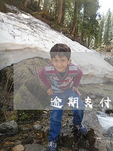 逾期支付违约金条款英语 逾期支付违约金条款英语