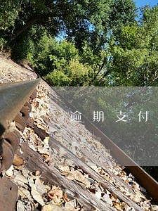 逾期支付违约金标准 逾期支付违约金标准