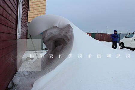 逾期支付违约金的利息约定过高 逾期支付违约金的利息约定过高