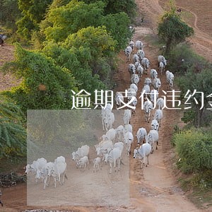 逾期支付违约金的增值税的分录