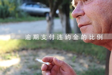 逾期支付违约金的比例