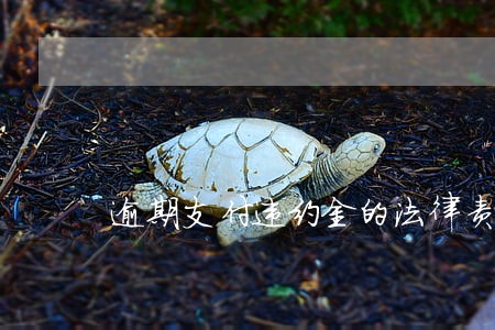 逾期支付违约金的法律责任 逾期支付违约金的法律责任