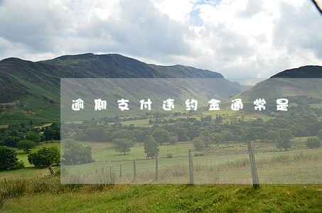 逾期支付违约金通常是