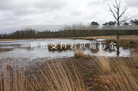 逾期支付迟延履行金
