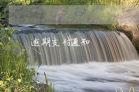 逾期支付通知 逾期支付通知
