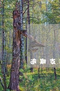 逾期支付逾期办理过户 逾期支付逾期办理过户