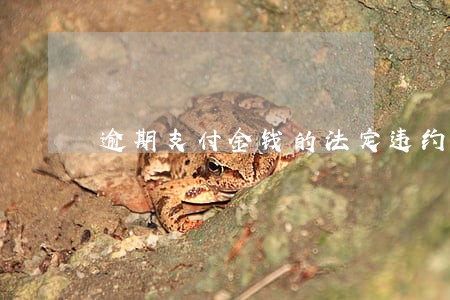 逾期支付金钱的法定违约金 逾期支付金钱的法定违约金