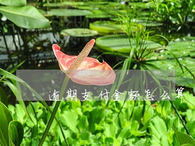 逾期支付金额怎么算 逾期支付金额怎么算