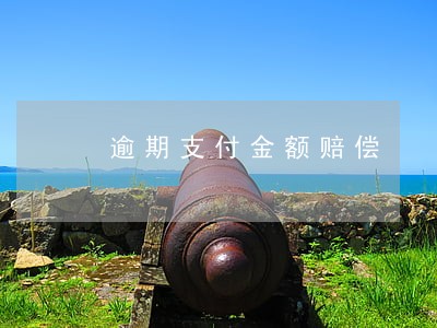 逾期支付金额赔偿