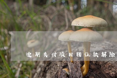 逾期支付项目转让款解除合同 逾期支付项目转让款解除合同