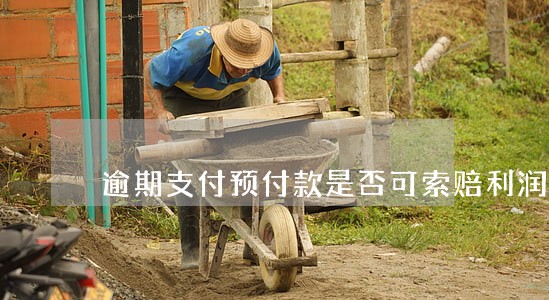 逾期支付预付款是否可索赔利润 逾期支付预付款是否可索赔利润
