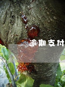 逾期支付预付款算违约吗 逾期支付预付款算违约吗