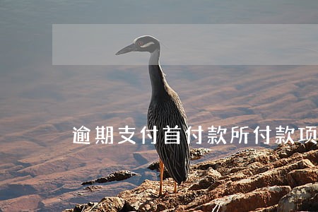 逾期支付首付款所付款项予以没收 逾期支付首付款所付款项予以没收