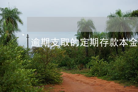 逾期支取的定期存款本金