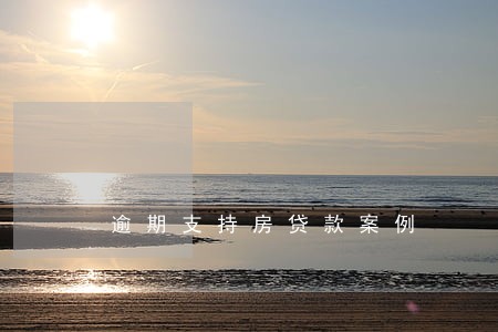 逾期支持房贷款案例