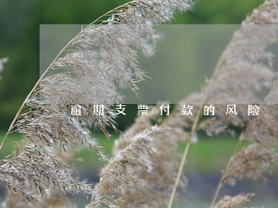 逾期支票付款的风险