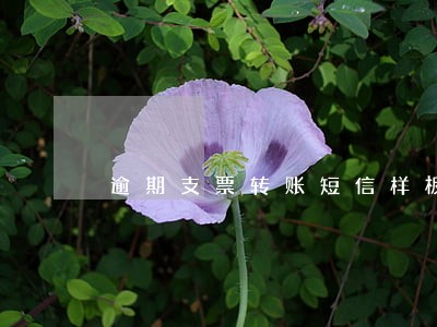 逾期支票转账短信样板 逾期支票转账短信样板