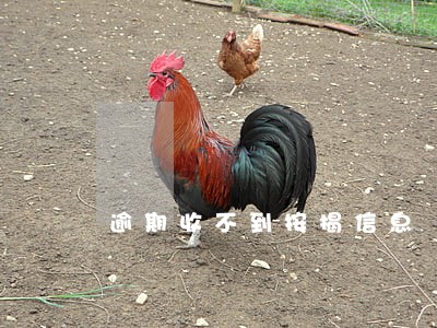 逾期收不到按揭信息