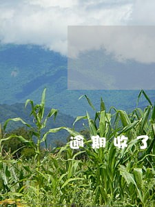 逾期收了罚息还要收利息吗