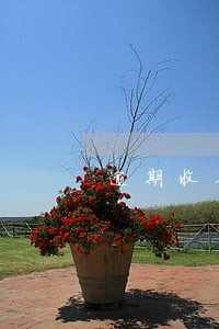 逾期收入证明怎么办理