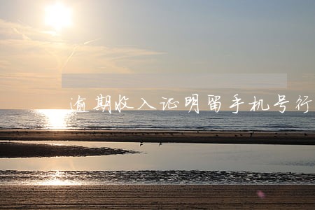 逾期收入证明留手机号行吗