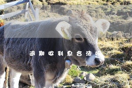 逾期收利息合法吗
