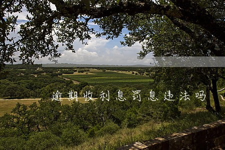 逾期收利息罚息违法吗