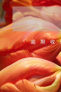 逾期收到丁可律师短信