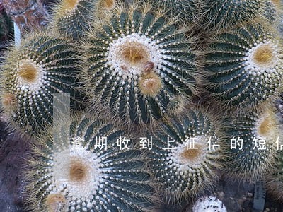 逾期收到上征信的短信